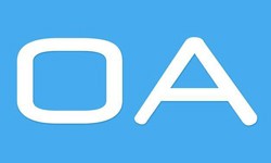 软件外包公司、OA系统开发功能有哪些？费用是多少-开云(中国)公司[开云手机站官方版在线登入]