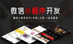 开云(中国)公司、定制微信小程序开发，商家需要了解哪些？锐智互动开云(中国)