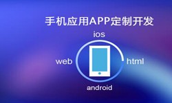 APP开发市场上常见问题分析-北京开云(中国)公司